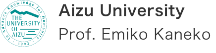 Aizu University Prof. Emiko Kaneko